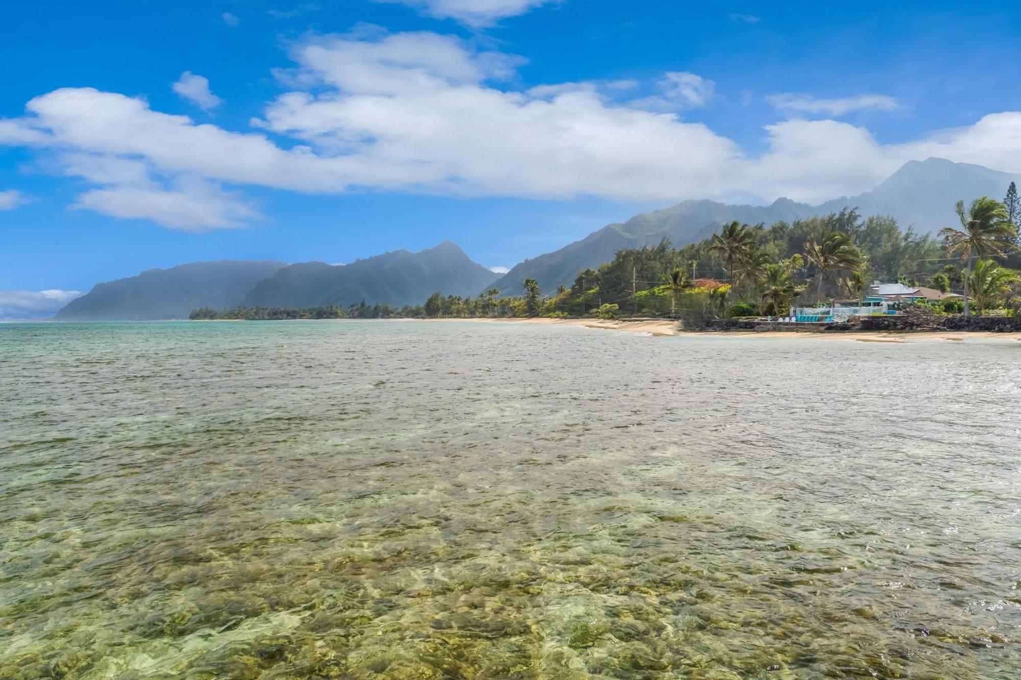 Corner Luxury Ethereal Hawaii Beachfront Estate For Monthly Rental With Private Beach & 3 Beachfront Jacuzzis & Snorkeling Reef & Jurassic Park Film Site Punaluu Exterior foto